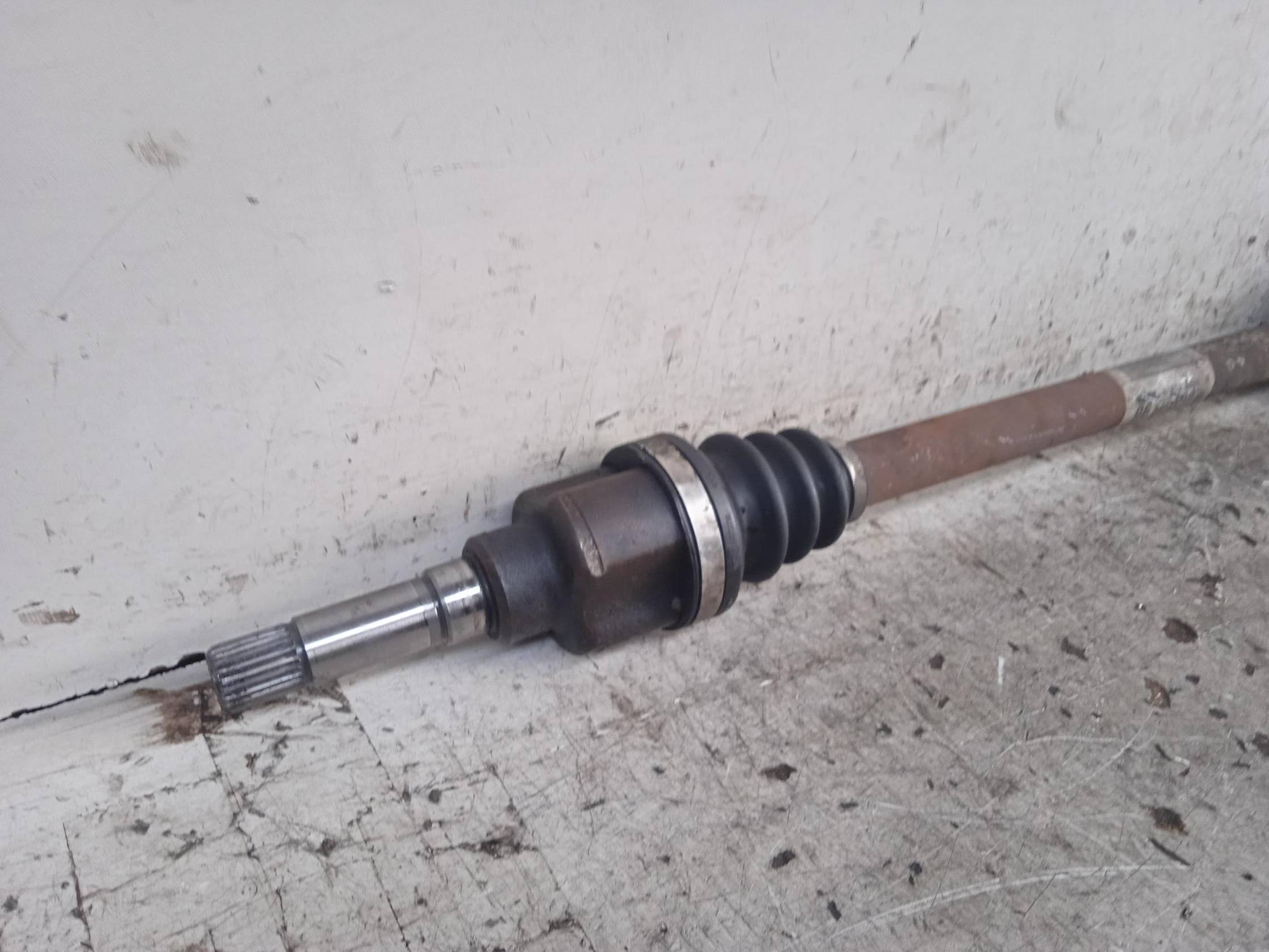 Semialbero ant. compl. dx.